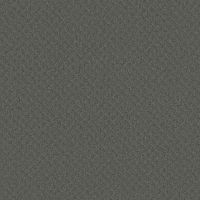 �������� Gerflor Taralay Impression Comfort Plus 0843