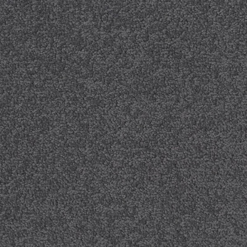 �������� ������ Desso (Tarkett) Palatino 6502