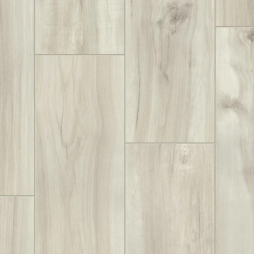 SPC ������� Timber Eastwood Gianni 75451