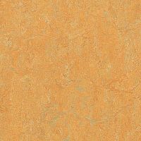 ��������� Forbo Marmoleum Real 2,50 3847