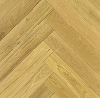 ������ ������ AnticWood ���������� ���� �������