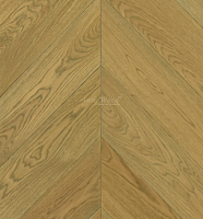 ������ ������ AnticWood ����������� ���� ������