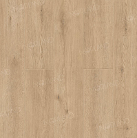 SPC ������� Norland Sigrid �������� Dor 1001-3