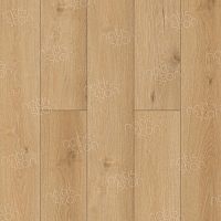 SPC ������� Natisston Leger ������ ����� Begna 5001-10
