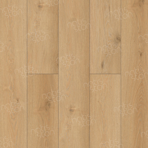 SPC ������� Natisston Leger ������ ����� Begna 5001-10