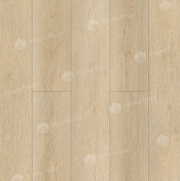 SPC ������� Alpine Floor Intense ���������� ����� ��� Eco 9-13 ��