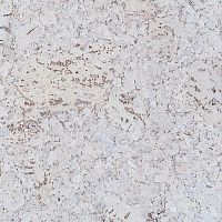 ��������� ������ Ibercork ����� ������