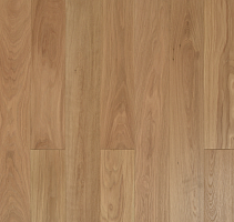 ���������� ����� AnticWood ������ ���������
