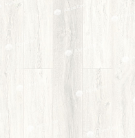 SPC ������� Alpine Floor Intense ���������� ����� ��� Eco 9-9 ��