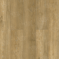 SPC ������� Natisston Essential �������� ���� Kysten 5002-05