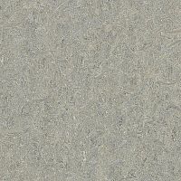 ��������� Forbo Marmoleum Marbled 2,50 5802