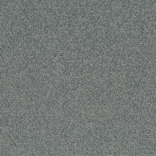 �������� ������ Desso (Tarkett) Palatino 5502
