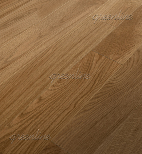 ���������� ����� Greenline Atlas 159 ��������