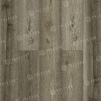 SPC ������� Tulesna Premium �������� ��� Foresta 1004-1301