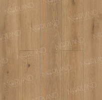 SPC ������� Norland Sigrid Plus ������ Blake 1006-10