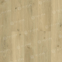 SPC ������� Tulesna Ottimo ����� ��� Modesto 1004-03