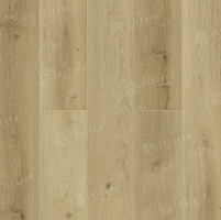 SPC ������� Tulesna Verano ���������� ���� Wieland 1002-15