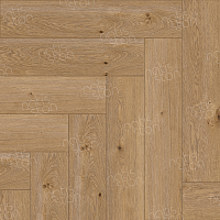 SPC ������� Natisston Unique ������ ����� Tinn 5004-05