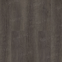 SPC ������� Norland Sigrid Superior ��� Baggy 1008-7 ABA