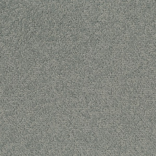 �������� ������ Desso (Tarkett) Palatino 3502