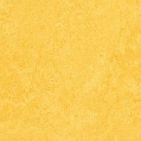 ��������� Forbo Marmoleum Marbled 2,50 3251