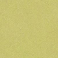 ��������� Forbo Marmoleum Marbled 2,50 3885