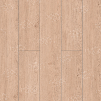 SPC ������� Natisston Leger ������ ��� Foss 5001-01
