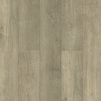 SPC ������� Natisston Leger ����� ��� Isen 5001-05