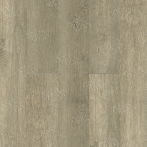 SPC ������� Natisston Leger ����� ��� Isen 5001-05