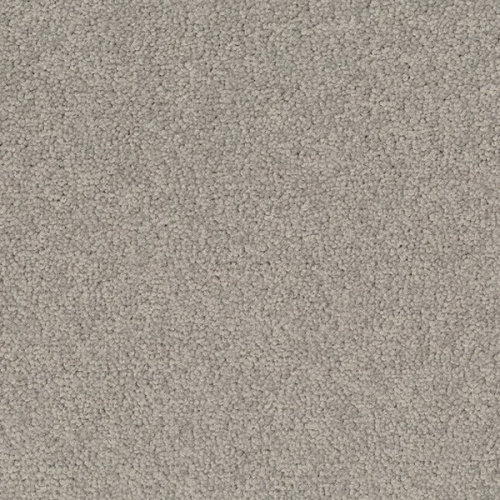 �������� ������ Desso (Tarkett) Palatino 1318