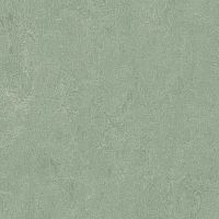 ��������� Forbo Marmoleum Fresco 2,50 3891