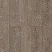 SPC ������� Natisston Essential ���� ������ Vann 5002-08