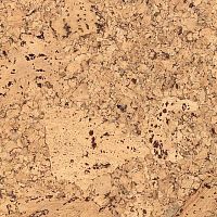 ��������� ������ Ibercork �����