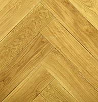 ������ ������ AnticWood ���������� ���� ������� ����