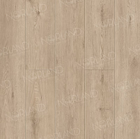 SPC ������� Norland Sigrid Plus ������� Abbi 1006-1