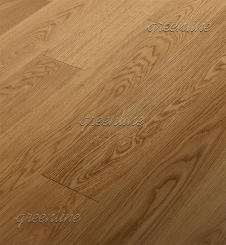 ���������� ����� Greenline Atlas 163 ������