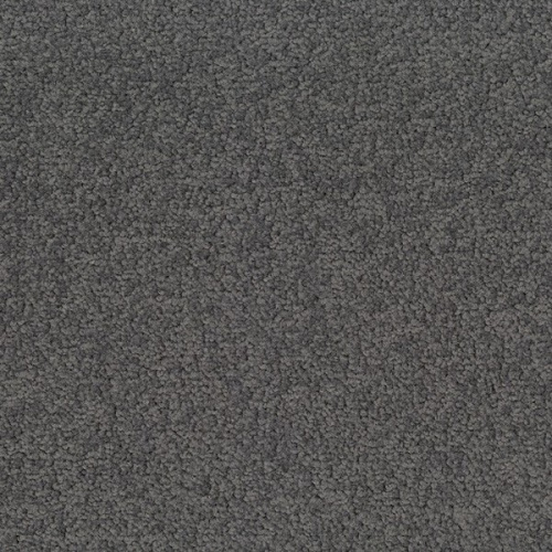 �������� ������ Desso (Tarkett) Palatino 9022