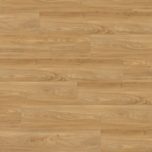   WINEO 400 Wood    DLC00118