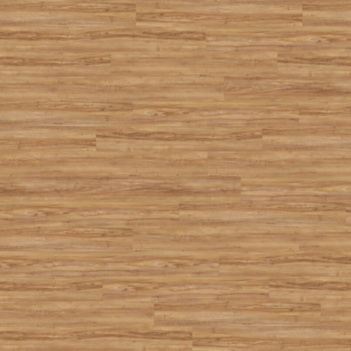  WINEO 800 Wood    DLC00081