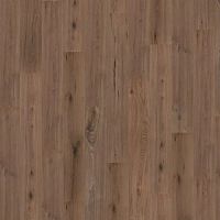   WINEO 1000 Wood L    PLC303R