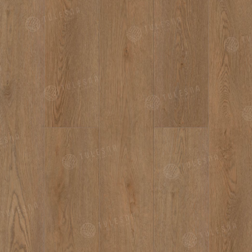 SPC ������� Tulesna Verano �������� ���� Elisa 1002-22