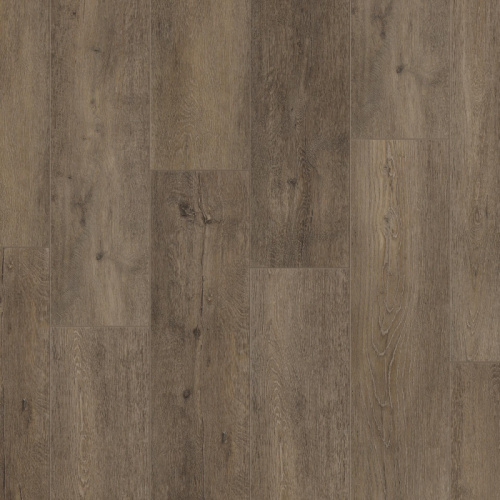SPC ������ Tarkett FUTURE HOUSE WILLY