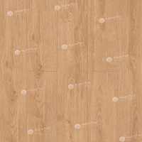 SPC ������� Alpine Floor ProNature Oak ������ Kisuca 64636