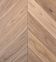 ������ ������ AnticWood ����������� ���� ��������