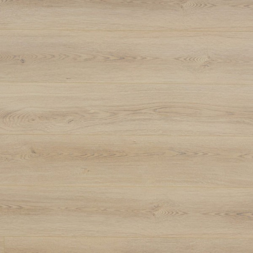 SPC ������� Steinholz Prime ������� STH071