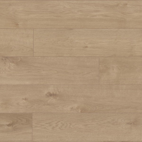 ������� SPC Rocko ����� R 065