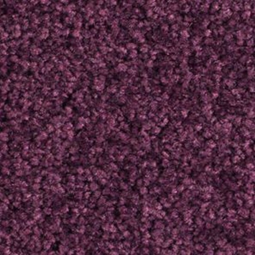 �������� ������ Balsan Bolero 890
