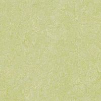 ��������� Forbo Marmoleum Real 2,50 3881