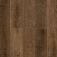 SPC ������� Tulesna Verano ������� Lara 1002-20