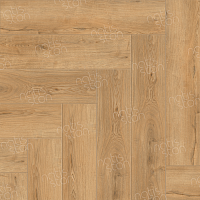 SPC ������� Natisston Unique ������ ����� Varm 5004-10